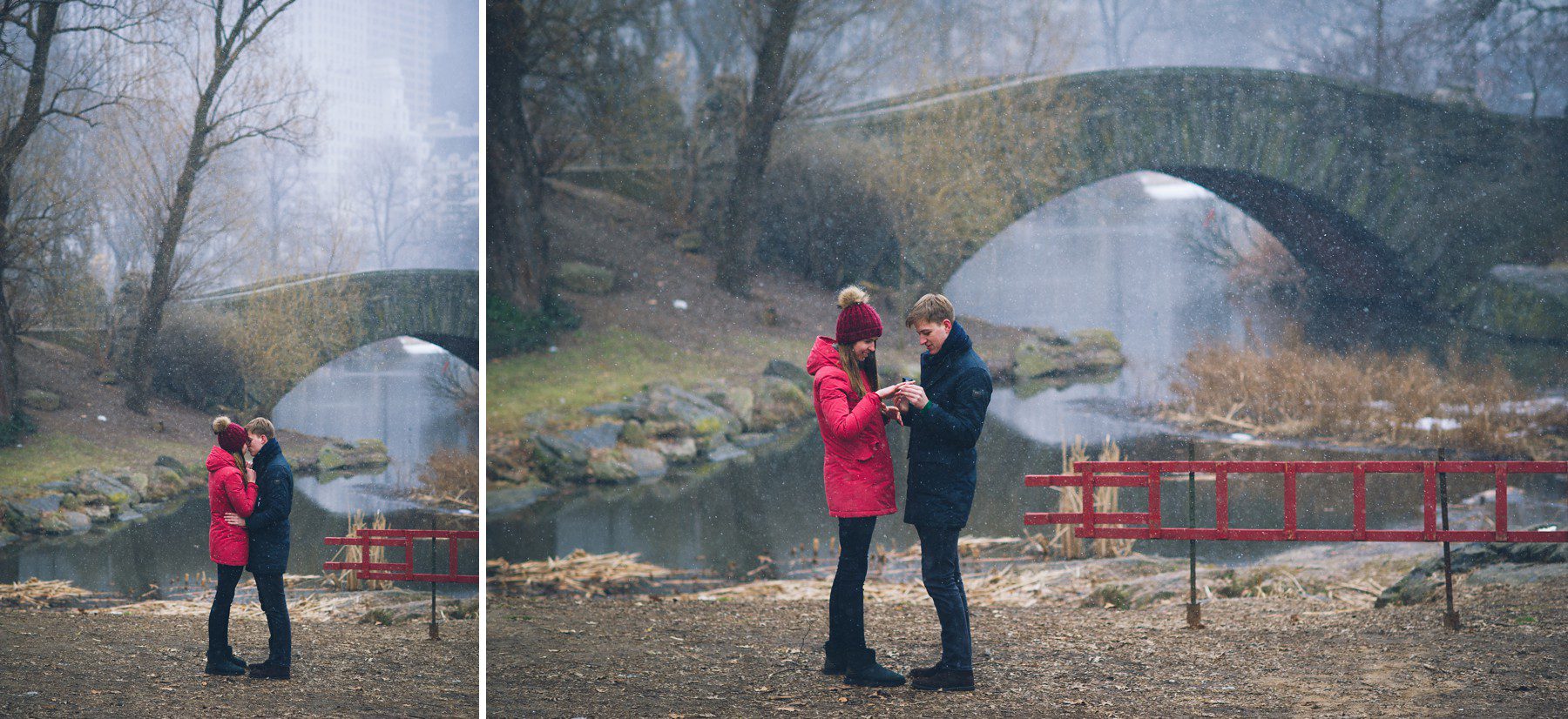 Central Park Surprise Proposal Hochzeitsantrag
