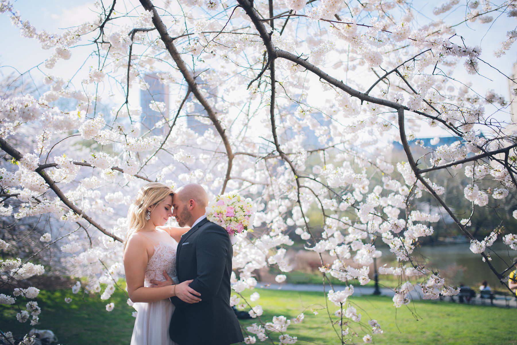 Cherry Bloom Central Park Wedding
