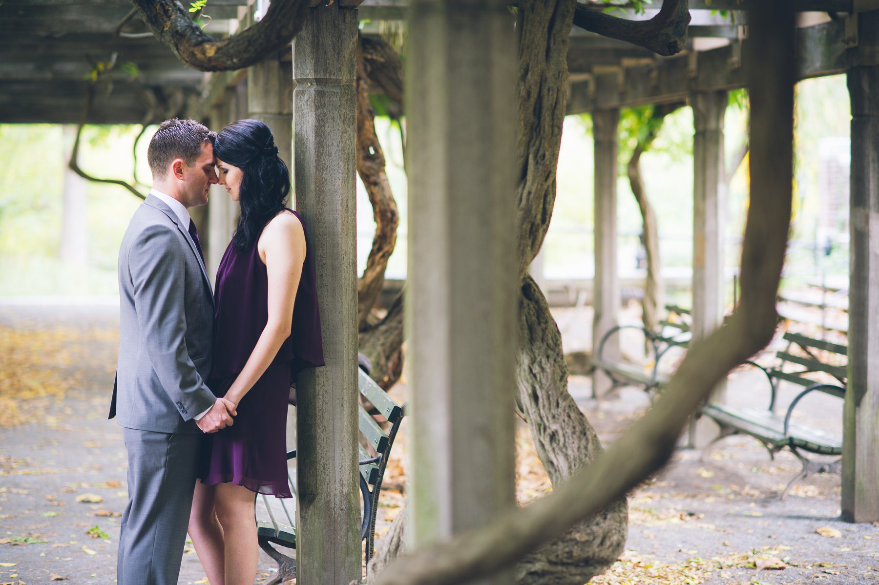  fall elopement in central park with foliage
