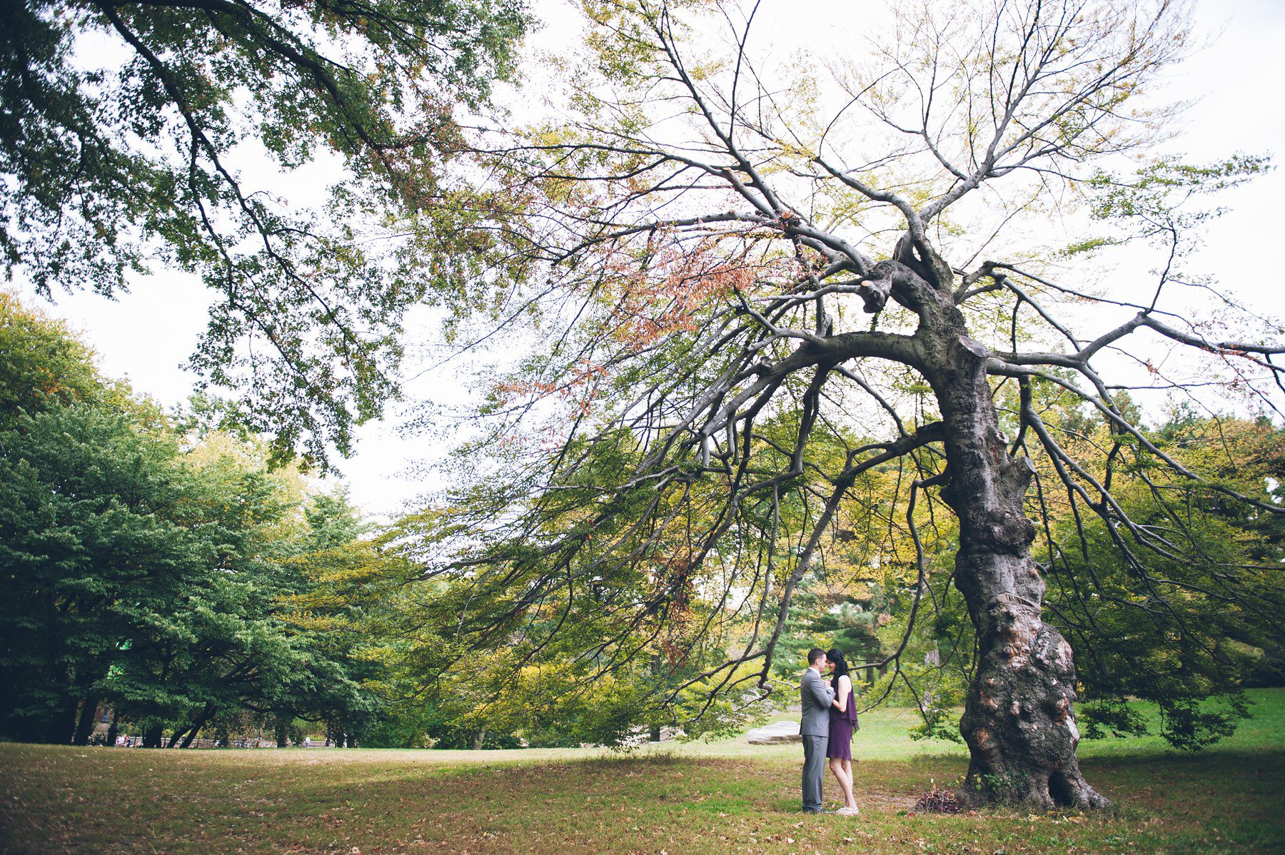 fall wedding in central park with foliage
