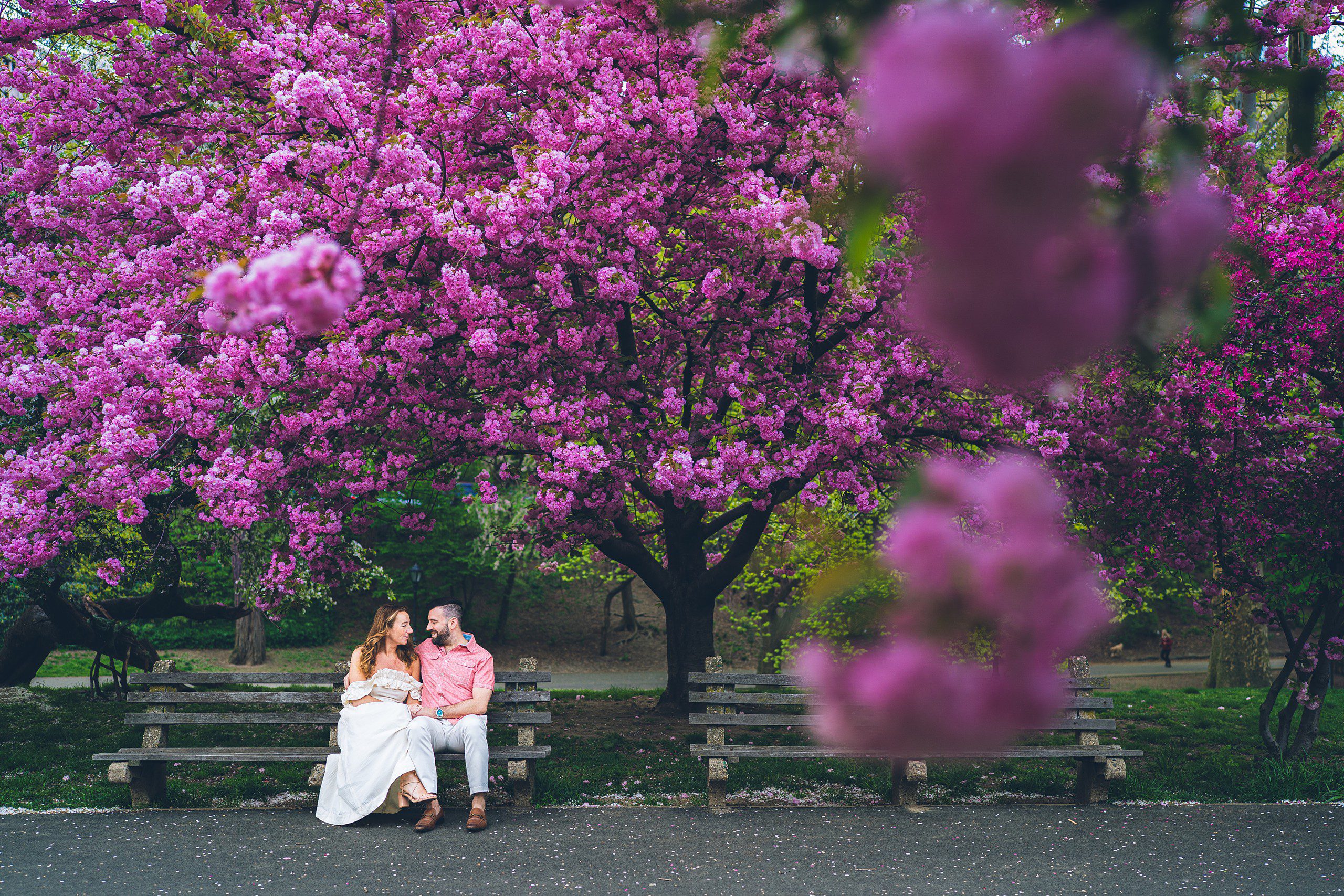 Cherry Blossom in NYC: Riverside Park Engagement Photos by Sascha Reinking Photography